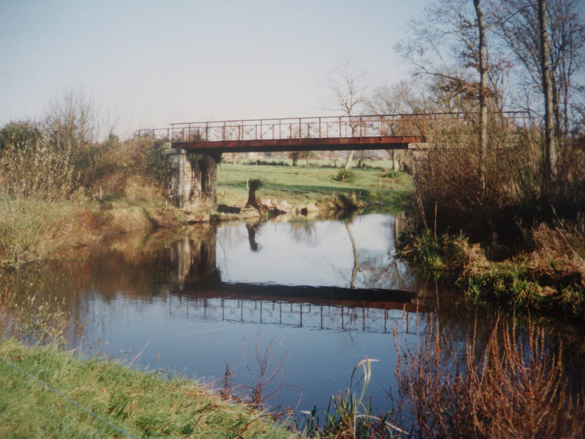 IMGP0013